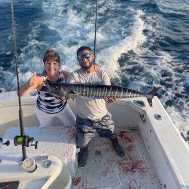 Wahoo Mahi Tuna Sailfish Kingfish sharks