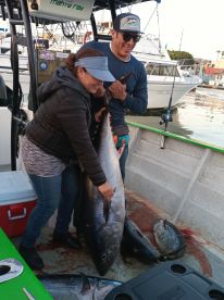 Ensenada Report Photo 2