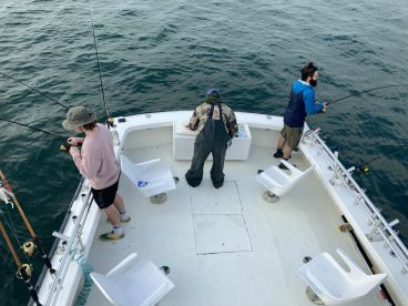 Nags Head Report Photo 2