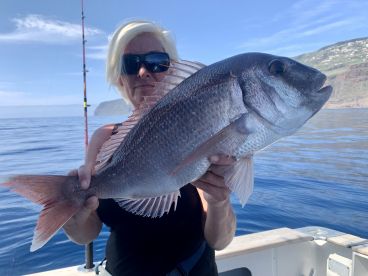 Pargo in the sunshine