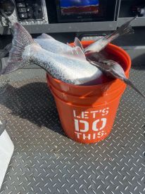 Nehalem Bay Report Photo 4