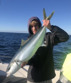 Tag n release