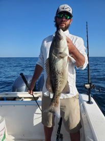 Bay County Report Photo 1