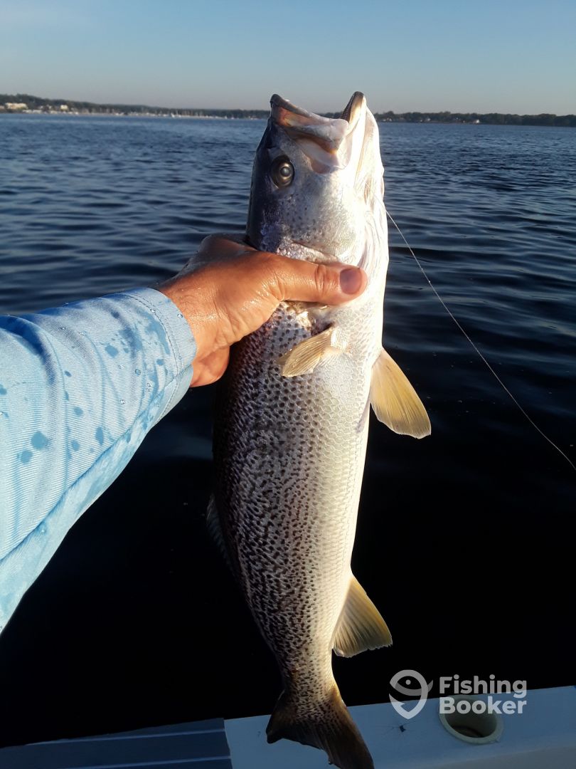 Narragansett Report Photo 0
