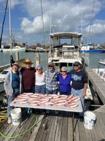 RED HOT RED SNAPPER