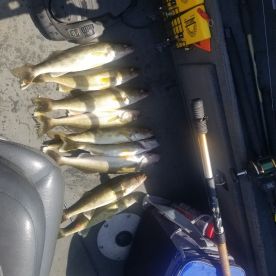 Wisconsin Report Photo 1
