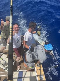 Calheta Report Photo 4