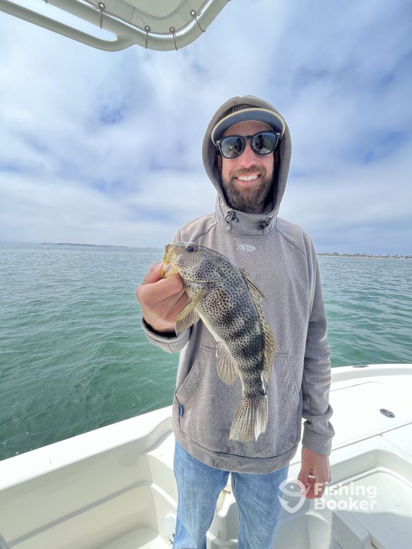 Coronado Report Photo 0
