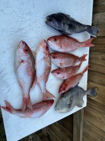 Mayport Report Photo 2