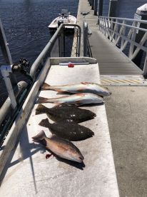 St Johns River Report Photo 1