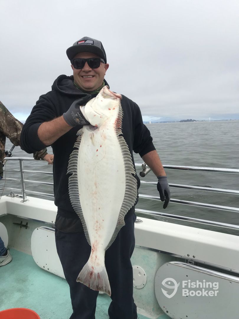 California Report Photo 0