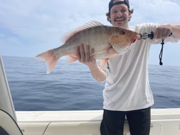 Belleair Bluffs Report Photo 2