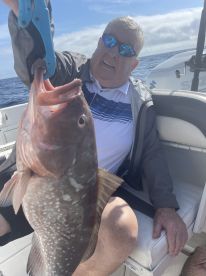 Belleair Bluffs Report Photo 2