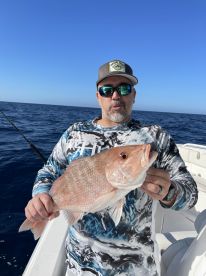 Belleair Bluffs Report Photo 1