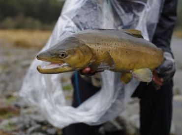 October - Fly Fishing in New Zealand
