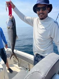Gulf of Mexico Report Photo 2