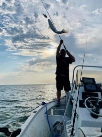 Fish flying in the boat