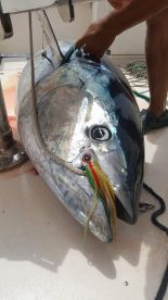 Fish from 2021 seasson