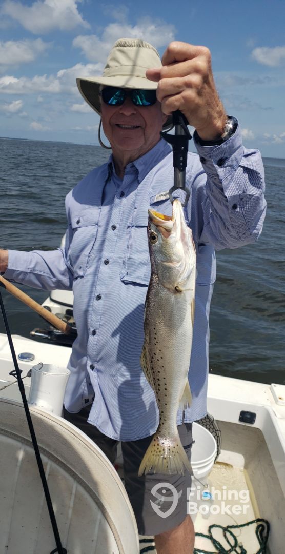 Gulf of Mexico Report Photo 0