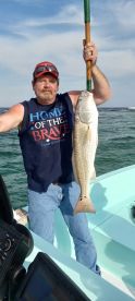Destin Report Photo 2
