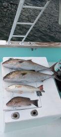 Destin Report Photo 1