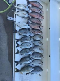 Florida Bay Report Photo 2