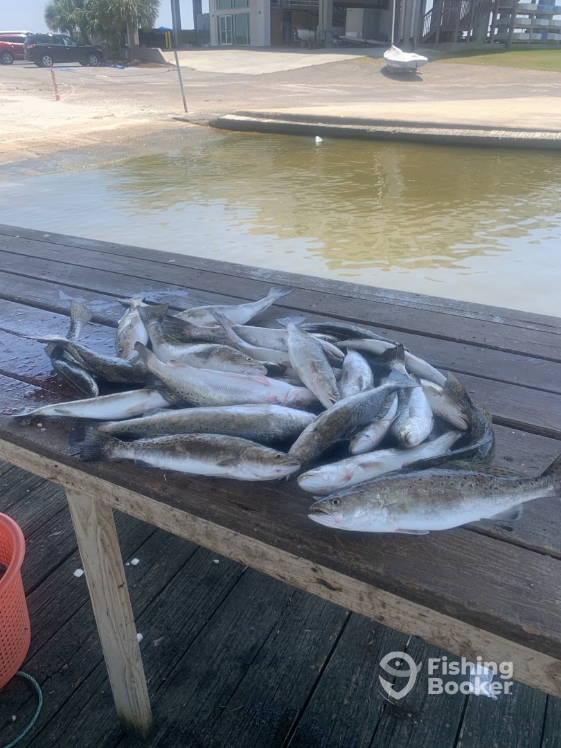 Fresh Pass Christian Fishing Reports (July 2022)