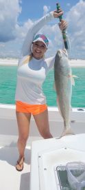 Destin Report Photo 2