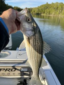 Casco Bay Report Photo 4