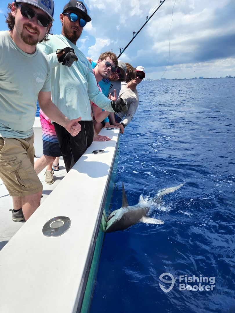 Fort Lauderdale Report Photo 0