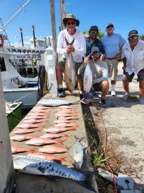 Fort Lauderdale Report Photo 1