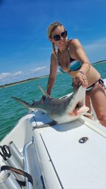 Sharks on the beach