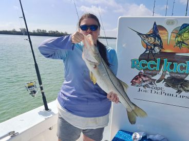 Catch and release Snook inshore