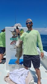 Gag grouper nearshore