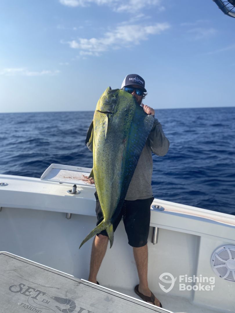 Mayport Report Photo 0