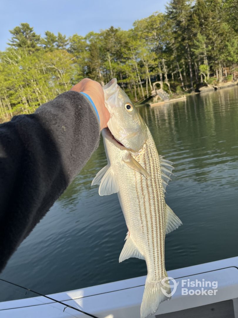 Casco Bay Report Photo 0