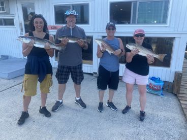 Albemarle Sound Report Photo 1