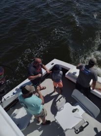 Albemarle Sound Report Photo 2
