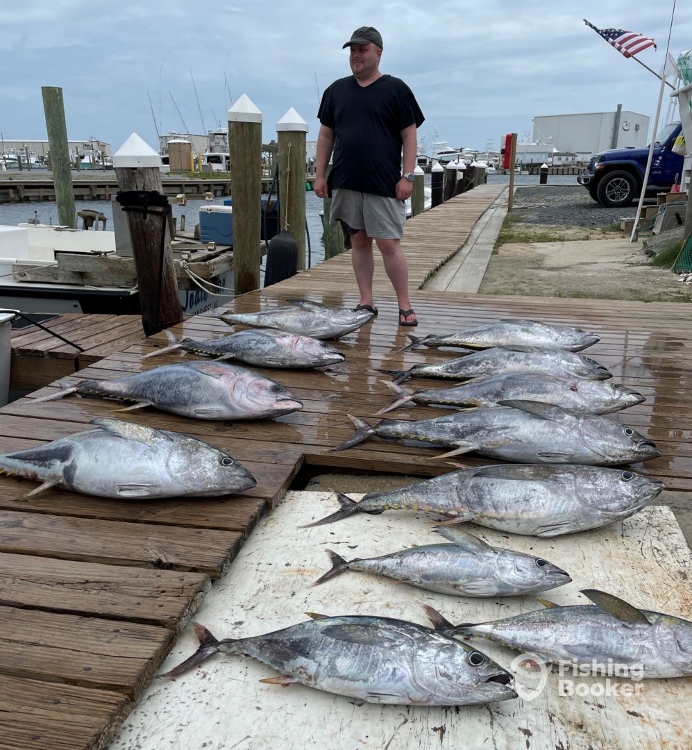 Albemarle Sound Report Photo 0