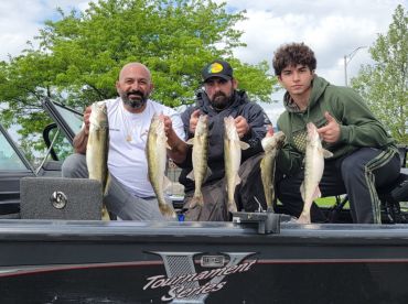 Niagara County Report Photo 1