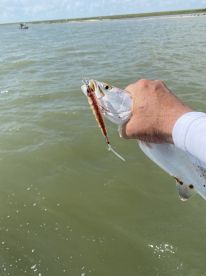 Galveston Report Photo 2