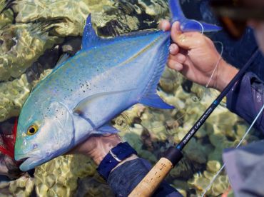 Fly fishing