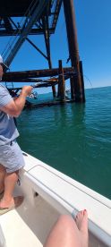 Virginia Beach Report Photo 1