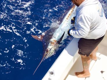 Pasito Blanco Report Photo 4
