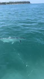 Key West Report Photo 1