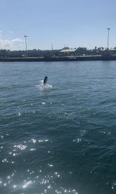 Key West Report Photo 2