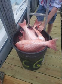 Carrabelle Report Photo 2