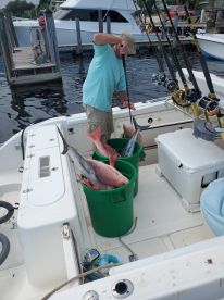 Carrabelle Report Photo 1