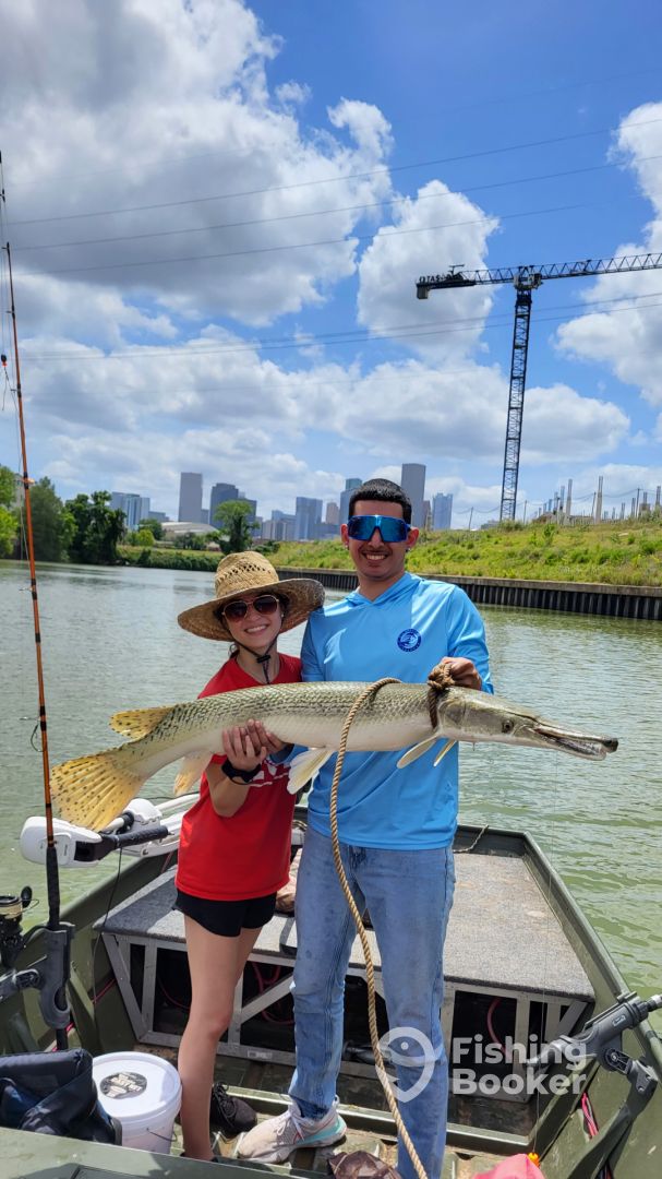 Houston Report Photo 0