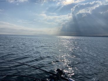 Conneaut Report Photo 1